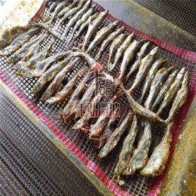 小魚(yú)微波烘干熟化設備